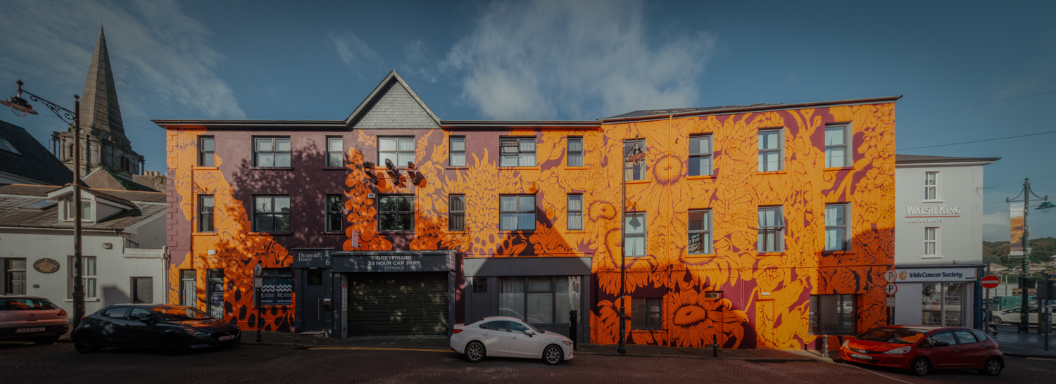 Fitzgerald Power Greyfriars Waterford Walls mural