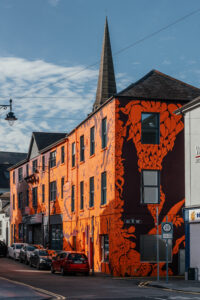 Fitzgerald Power greyfriars Waterford Walls mural